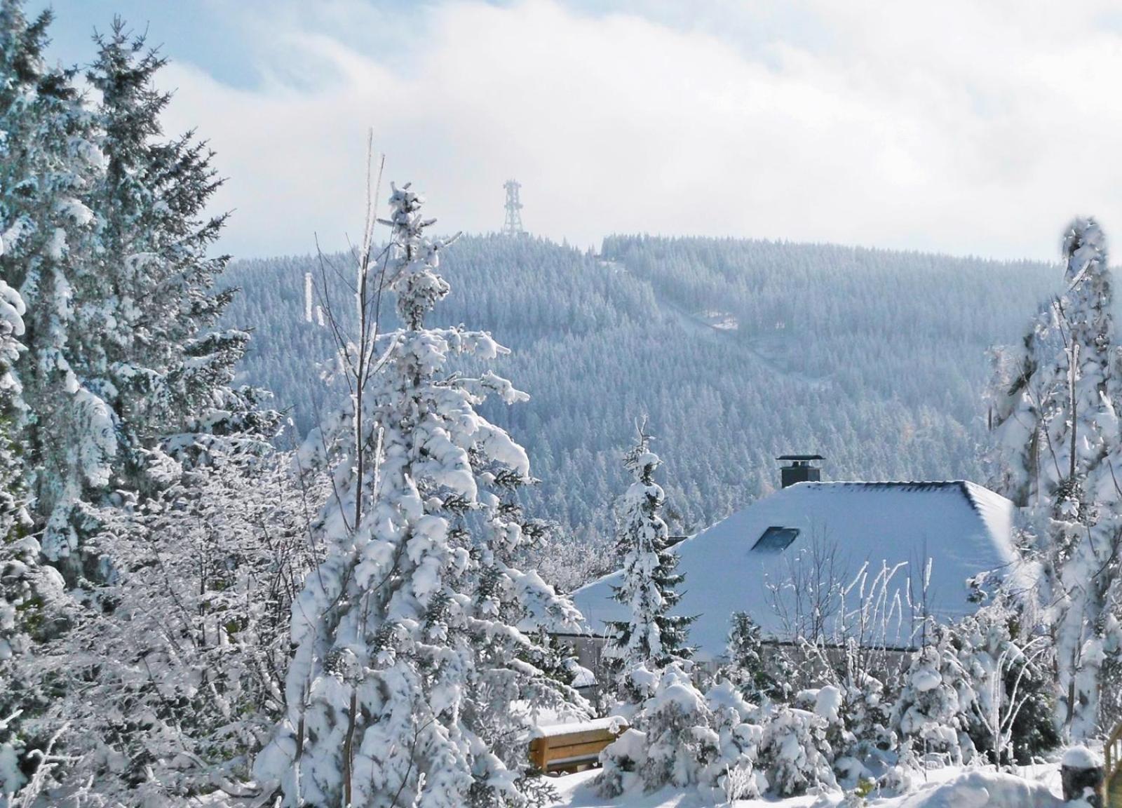גוסלר Premium-Ferienwohnungen Bergblick Im Haus Hopfe מראה חיצוני תמונה