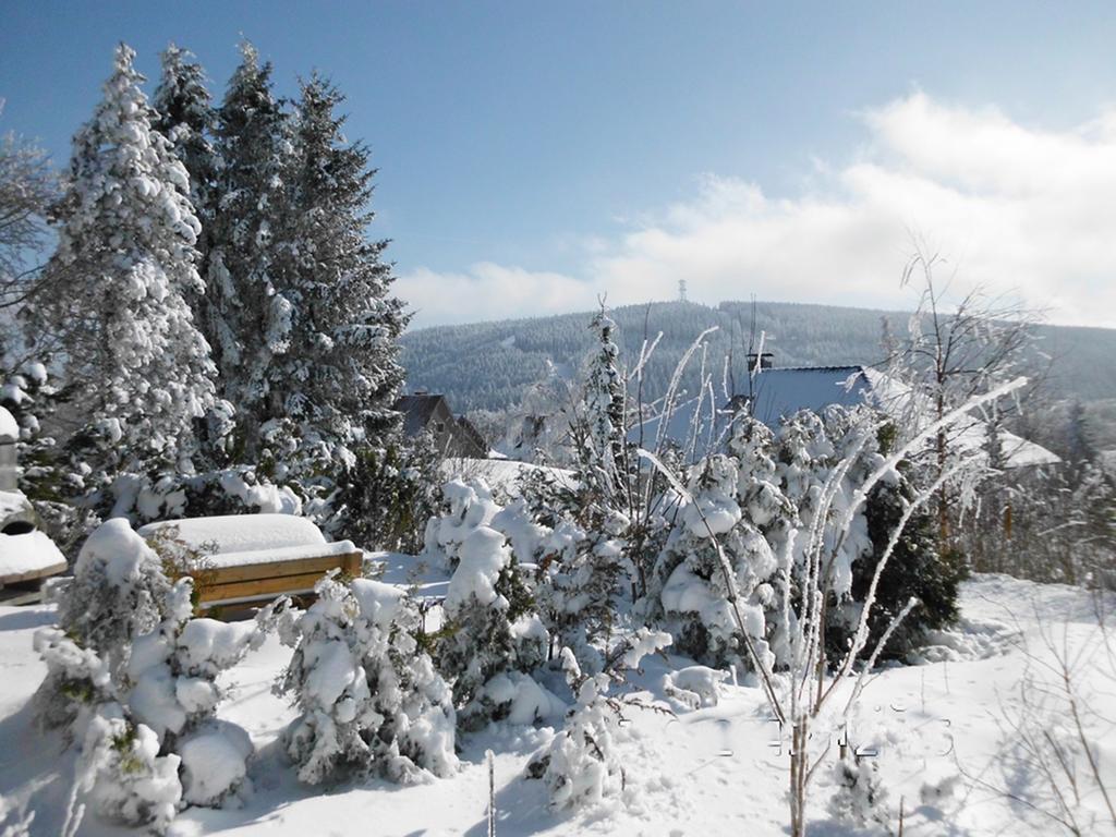 גוסלר Premium-Ferienwohnungen Bergblick Im Haus Hopfe מראה חיצוני תמונה