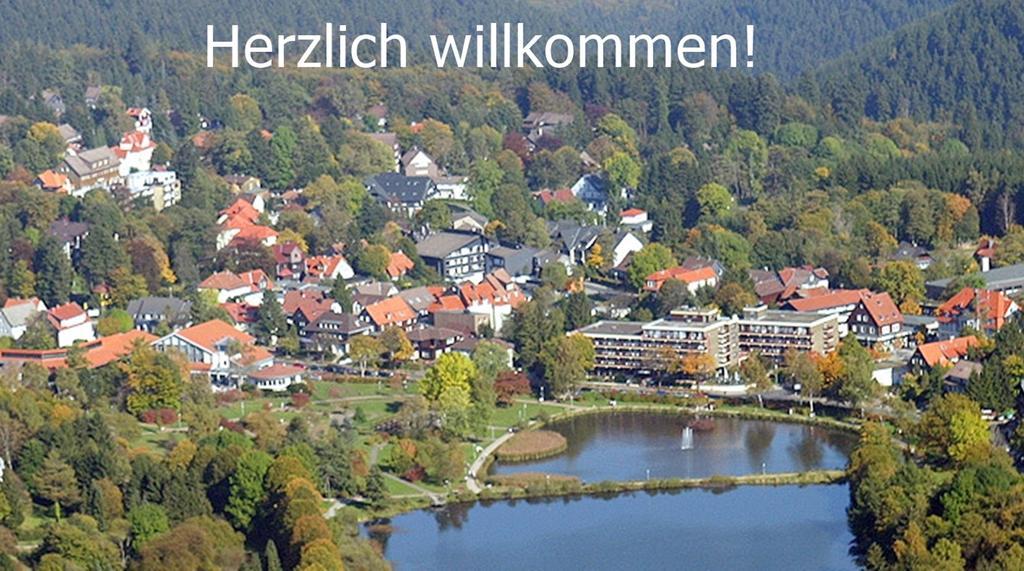 גוסלר Premium-Ferienwohnungen Bergblick Im Haus Hopfe מראה חיצוני תמונה