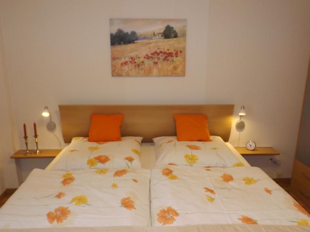 גוסלר Premium-Ferienwohnungen Bergblick Im Haus Hopfe מראה חיצוני תמונה